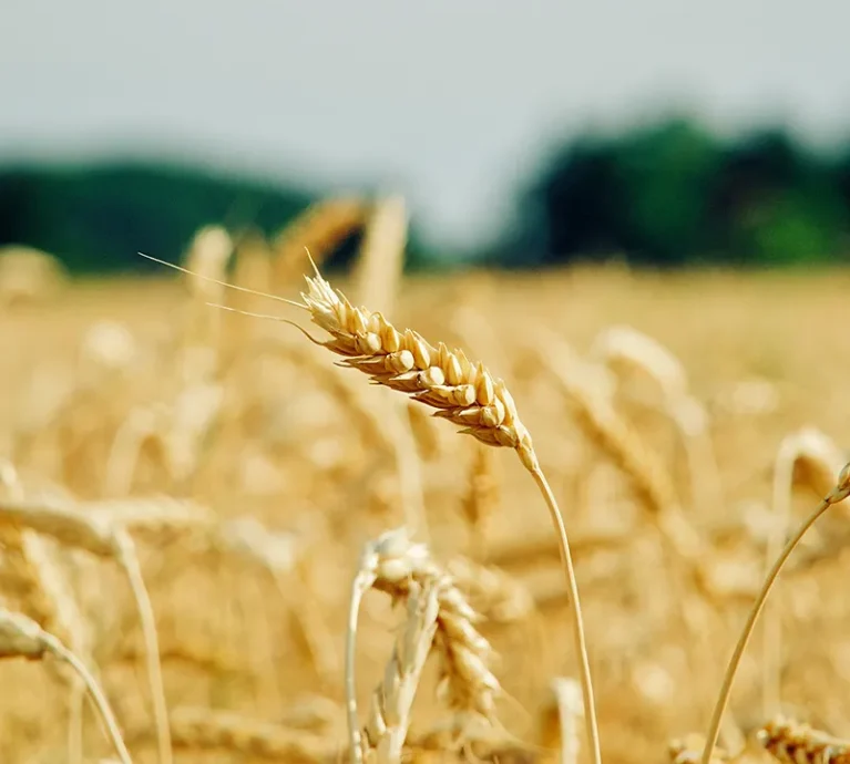 There are many variations of passages of Lorem Ipsum available, but majority have suffered teration in some form, by injected humour, or randomised words which don't look even slight believable. If you are going to use a passage of Lorem Ipsum.