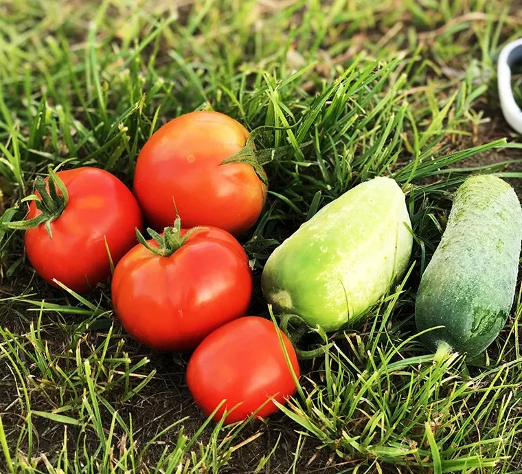 There are many variations of passages of Lorem Ipsum available, but majority have suffered teration in some form, by injected humour, or randomised words which don't look even slight believable. If you are going to use a passage of Lorem Ipsum.