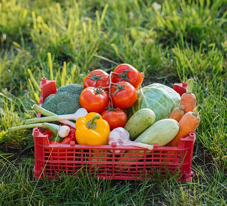 There are many variations of passages of Lorem Ipsum available, but majority have suffered teration in some form, by injected humour, or randomised words which don't look even slight believable. If you are going to use a passage of Lorem Ipsum.