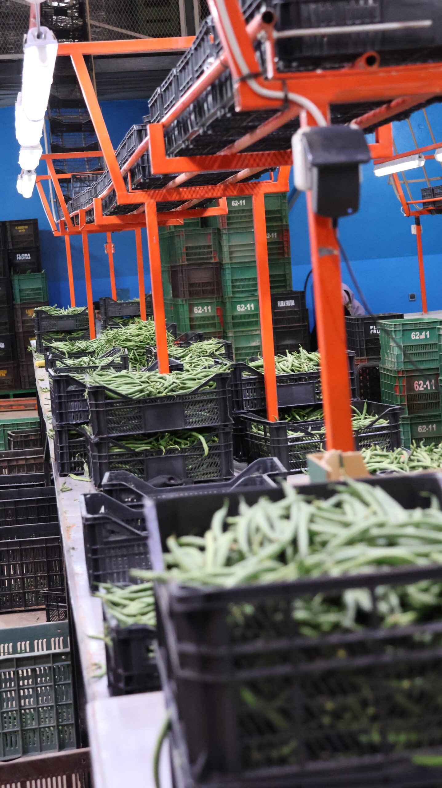 Flora Frutas Facility